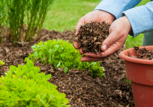 multch-in-soil-landscape  