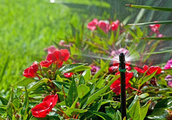 smart-watering-landscape  